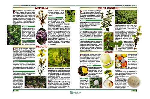Las Plantas Curativas Y Sus Propiedades Medicinales