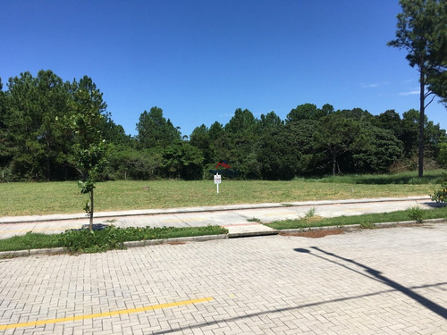 Imagem 9 de 12 de Terreno Em São João Do Rio Vermelho, Florianópolis/sc De 418m² À Venda Por R$ 330.000,00 - Te1973518-s