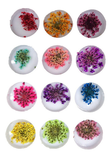 Kit con 10 unidades de flores secas para encapsular uñas y colores para decoración