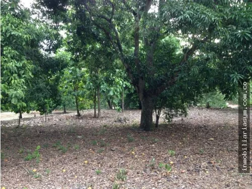 Venta Lote En Sopetran Ant. Suburbano.