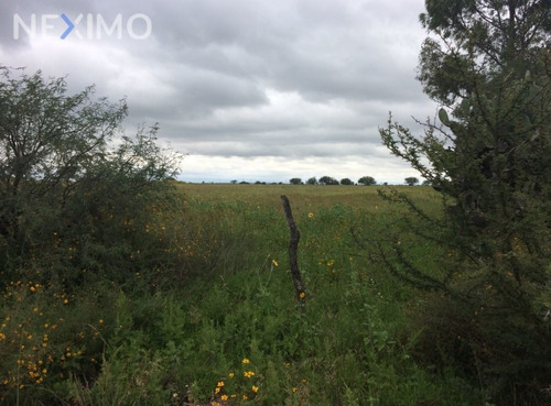 Imagen 1 de 4 de Rancho En Venta En San Miguel De Allende, Guanajuato.