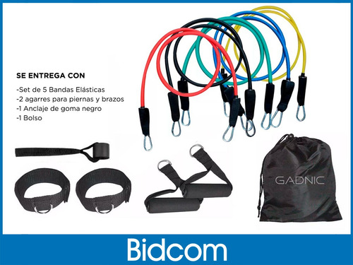 Set Kit De 5 Bandas Elasticas Profesional Latex Ejercicio