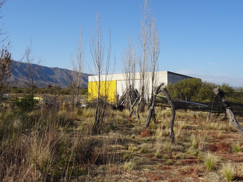 Imagen 9 de 30 de Espectacular Campo Con Loteo, House Restaurante Y Viñedos