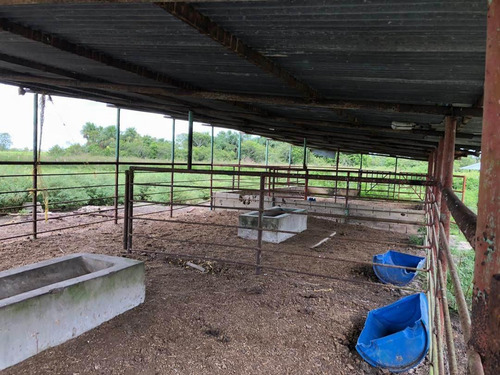 Imagen 7 de 7 de Venta De Finca Via El Sur Ve02-045vs-sg