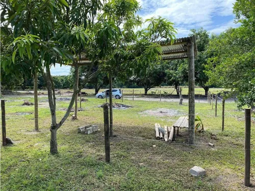 Venta De Lotes En Acacias Meta