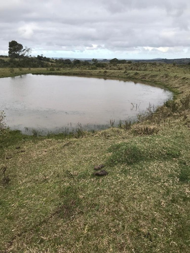 Imagen 7 de 9 de Buen Campo