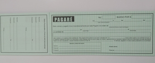 Block Pagare 1/3 De Carta - 100 Hojas (10 Pzas) | Envío gratis