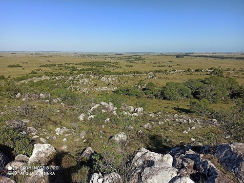 Se Venden 236 Hectáreas, Sobre Ruta 7, Entre Batlle Y Ordóñez Y Valentines. Campo De Sierra, Con Aptitud Ganadero Forestal.