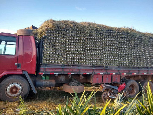 Ford Cargo 2422