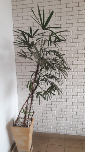 Revestimento Gesso 3d / 1m²