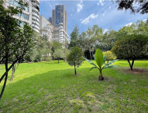 Imagen 6 de 15 de Venta Terreno En Las Flores, Flor De María 5,368m2