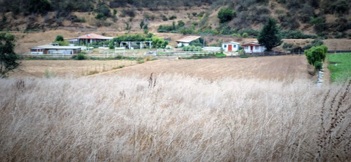 En Venta Parcela De 7.500 M2., En El Huape, Manzanar, Quillo