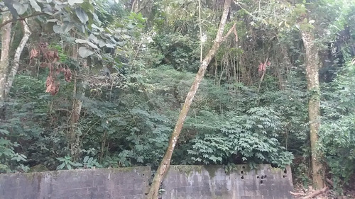Imagem 27 de 30 de Excelente Oportunidade Para Construção De Alto Padrão - Reo323981