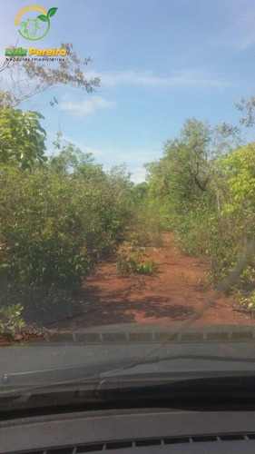 Imagem 10 de 15 de Fazenda À Venda Em Ponte Alta - To - 2.100 Hec / Excelente Argila - 1933