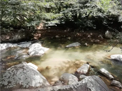 Venta Finca En Yolombo Via Gomez Plata