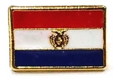 Bótom Pim Broche Pin Bandeira Paraguai 13x9mm Folheado Ouro