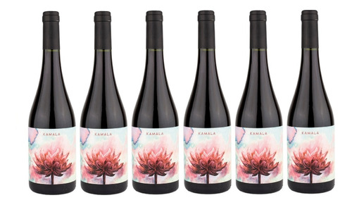 Caja X 6 - Kamala - Pinot Noir - Dharma Wines