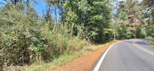 Gran Oportunidad! Terreno De 40 Hectáreas Sobre Carretera A Los Saucos