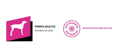 Imagen 2 de 3 de Alimento Para Perros Exact Adultos 25 Kg