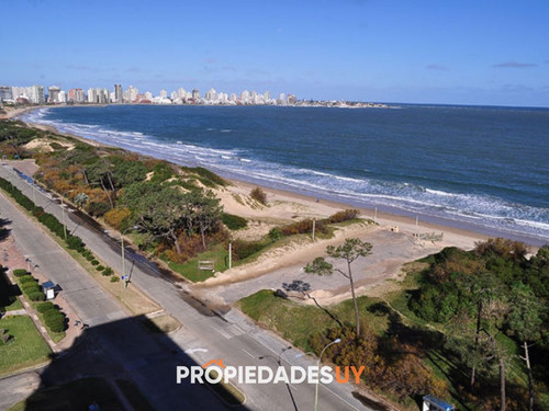 Imagen 3 de 26 de Vista Panoramica Al Mar, Sobre Playa Mansa