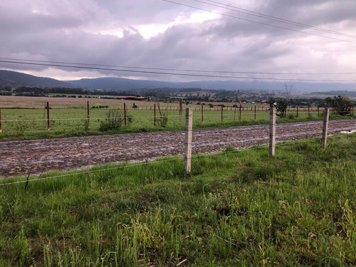 Imagen 4 de 6 de Terreno Rústico En Tapalpa, Jalisco