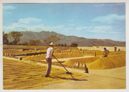 1969 Postal Costa Rica Agricultores Asoleando Cafe Vintage