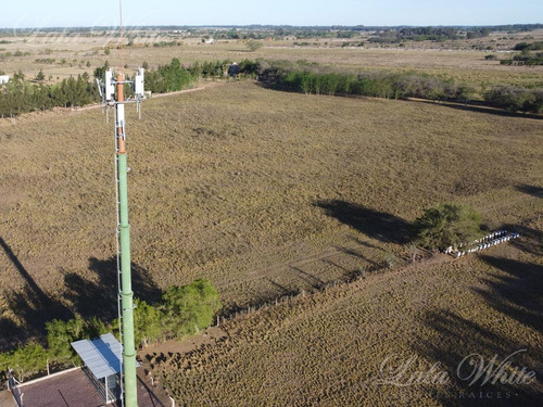 Imagen 6 de 10 de Venta - 7 Hectáreas En Canning