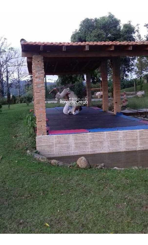 Imagem 24 de 30 de Sítio Com 4 Dorms, Centro (mailasqui), São Roque - R$ 2.6 Mi. - V3910
