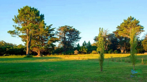 Imagen 12 de 15 de Vendo Terreno Lote En Los Tordillos Punta Ballena - Punta Ballena Los Tordillos