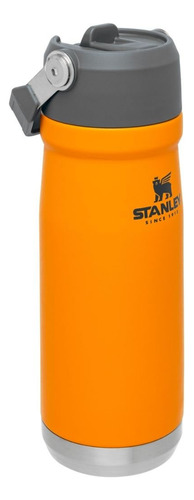 Botella Termica Stanley Flip Straw 650ml Colores Aventureros