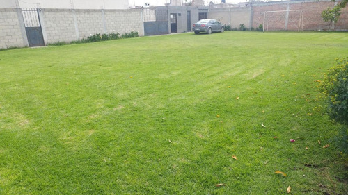 Imagen 2 de 6 de Terreno - San Pedro