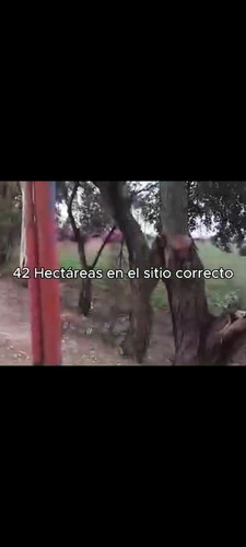 Rancho En Venta O Renta Irapuato