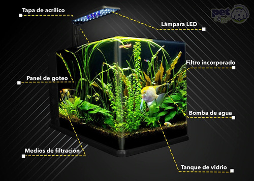 Imagen 4 de 9 de Pecera Acuario Nano Termoformado C/filtro Interno 14 Litros