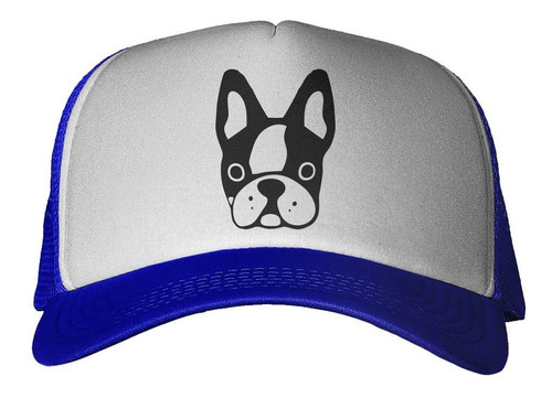 Gorra Cara De Perro Bulldog Vector