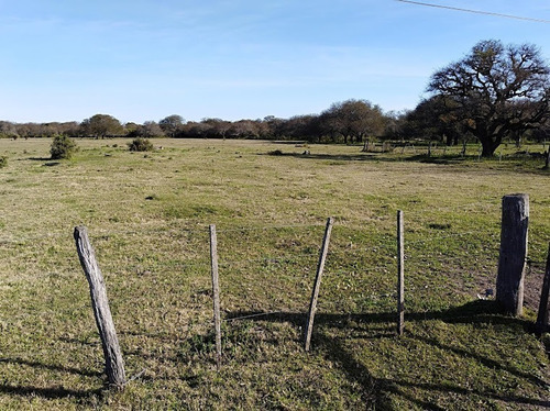 Imagen 23 de 24 de Venta Campo Ganadero Vera Y Pintado Ganadero 462 Ha ($1300)