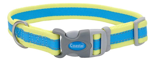 Pro Reflective Collar Ajustable Para Perros - Aguamarina Con