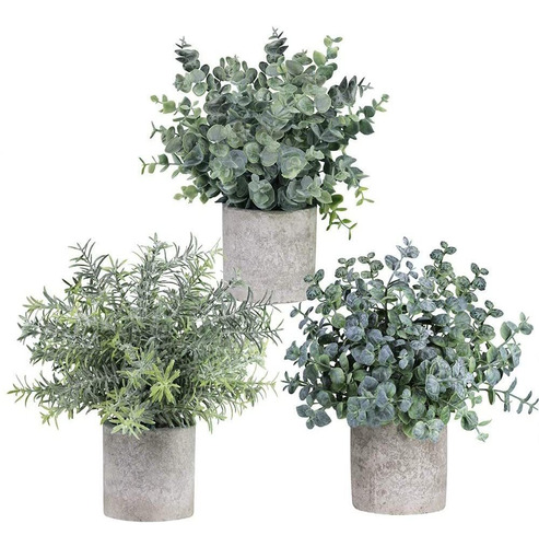 Conjunto De  Mini Macetas De Plantas De Eucalipto Artif...