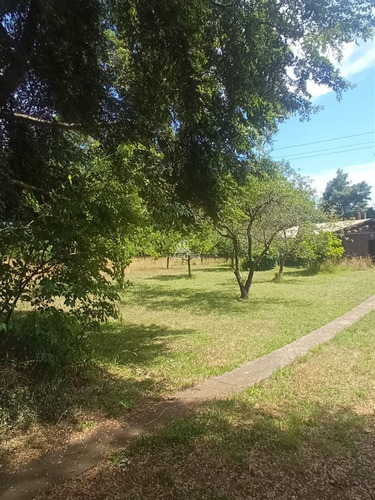 Imagen 4 de 30 de Agrícola Orilla Asfalto Con 5 Hectáreas En Venta En Cunco