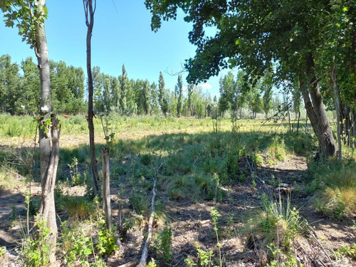 Imagen 5 de 8 de En Venta Chacra General Conesa 6 Hectareas