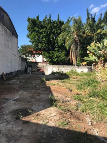 Imagem 8 de 8 de 197 -terreno No Bairro Do Butantã Para Venda 550m²