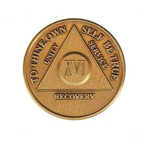 16 Año De Bronce Aa (alcohólicos Anónimos) - Sober - Sobried