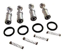 Comprar Reparo Para Flauta Bico Injetor Gnv 5ª Valtek  Apache  Rail 