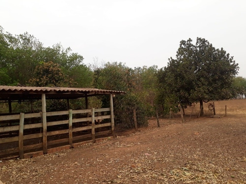 Imagem 14 de 14 de Linda Chácara A Venda