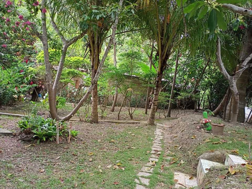 Imagen 7 de 14 de Granja En Venta Carretera Duaca Aroa