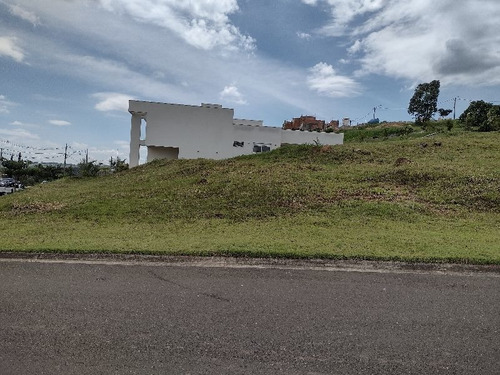 Imagem 8 de 15 de Terreno Residencial Em Vinhedo - Sp, Monte Alegre - Te00851