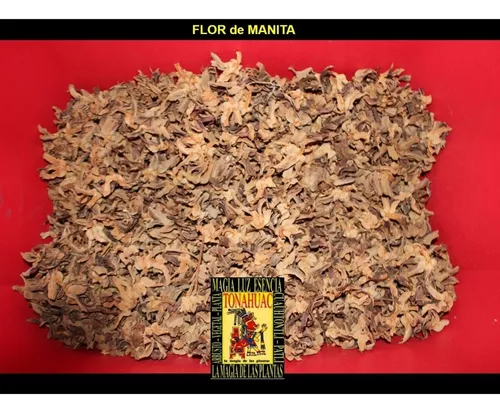 Flor De Manita 125gr Planta Organica Seca