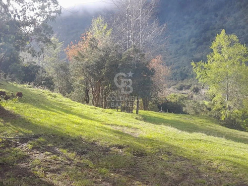 Parcela En Riñinahue, Cerca De Playa.