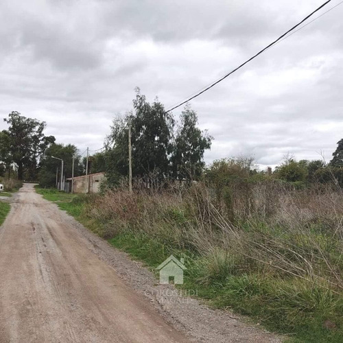 Imagen 2 de 4 de Venta Lote En Tandil-oportunidad