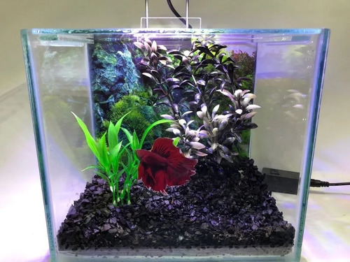 Beteira Aquabetta Luxo 4,5l Lum. Led E Decoração