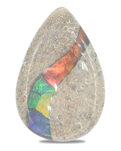 Hueso De Dinosaurio Fósil Cabujón Pera Con Ammolita 15x20mm